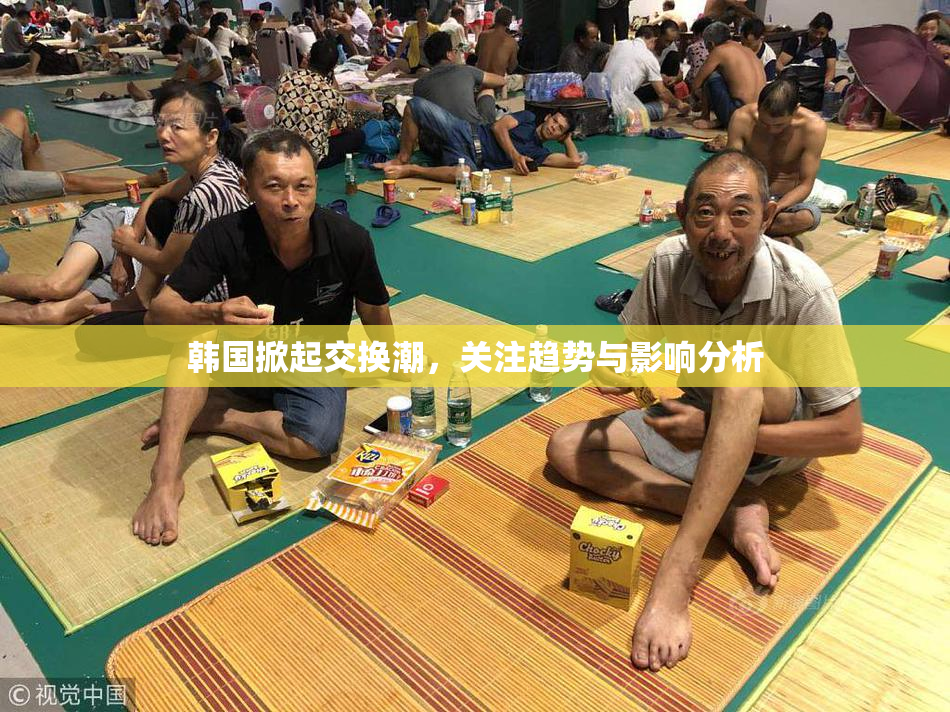 韩国掀起交换潮，关注趋势与影响分析
