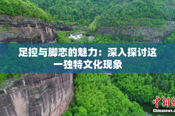 足控与脚恋的魅力：深入探讨这一独特文化现象