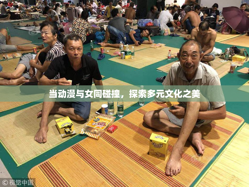 当动漫与女同碰撞，探索多元文化之美