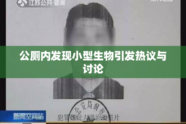 公厕内发现小型生物引发热议与讨论