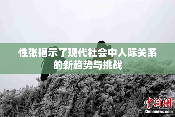 性张揭示了现代社会中人际关系的新趋势与挑战