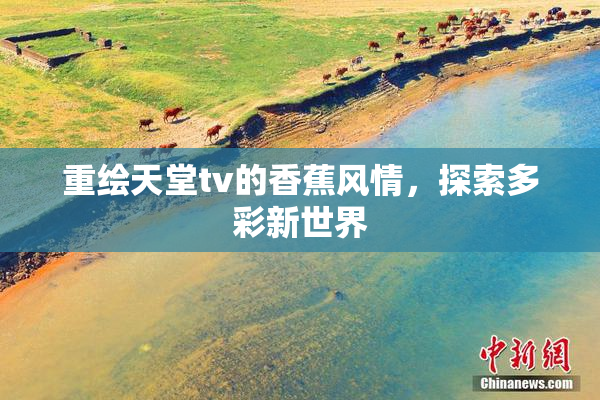 重绘天堂tv的香蕉风情，探索多彩新世界