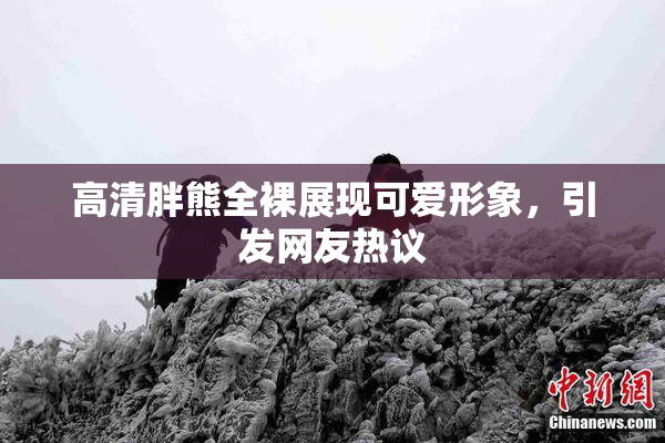高清胖熊全裸展现可爱形象，引发网友热议