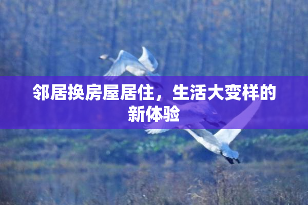 邻居换房屋居住，生活大变样的新体验
