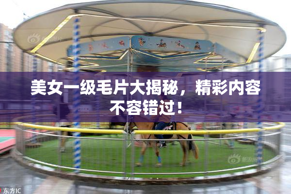 美女一级毛片大揭秘，精彩内容不容错过！