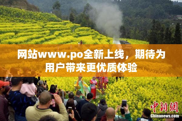 网站www.ро全新上线，期待为用户带来更优质体验