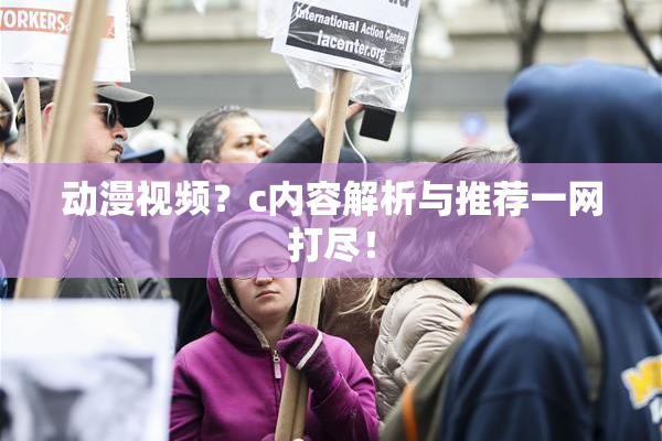 动漫视频？c内容解析与推荐一网打尽！