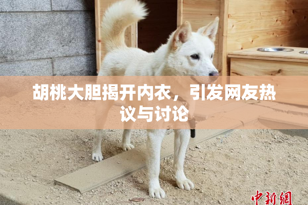 胡桃大胆揭开内衣，引发网友热议与讨论