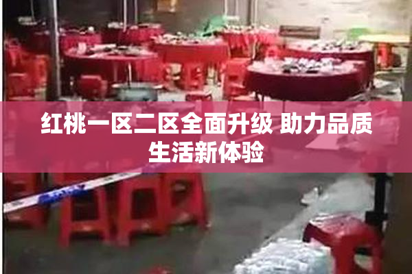 红桃一区二区全面升级 助力品质生活新体验