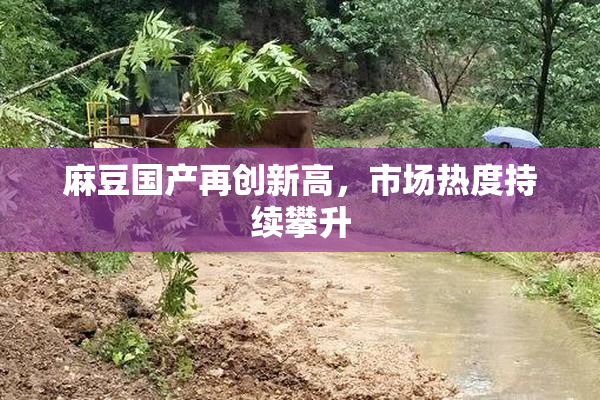 麻豆国产再创新高，市场热度持续攀升