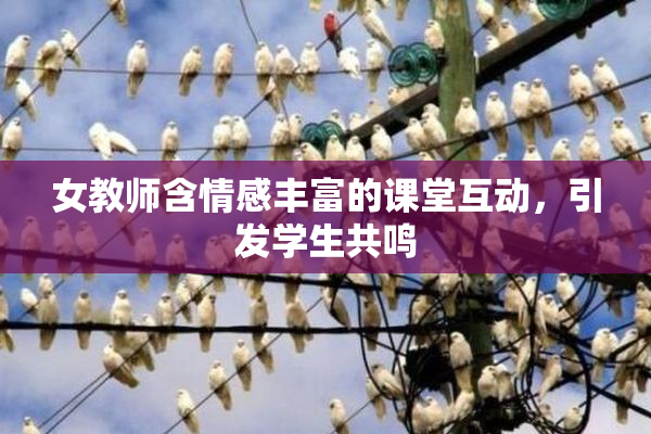 女教师含情感丰富的课堂互动，引发学生共鸣