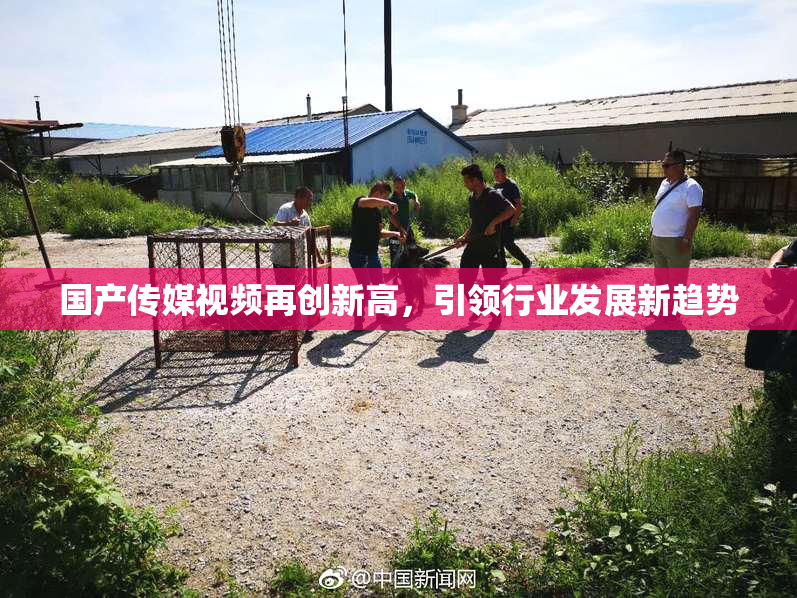 国产传媒视频再创新高，引领行业发展新趋势