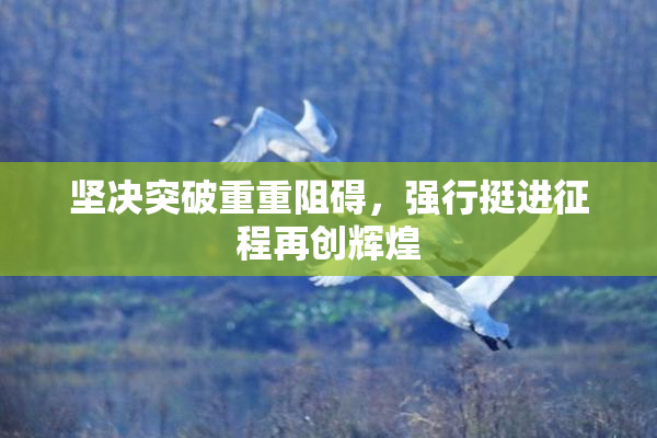 坚决突破重重阻碍，强行挺进征程再创辉煌