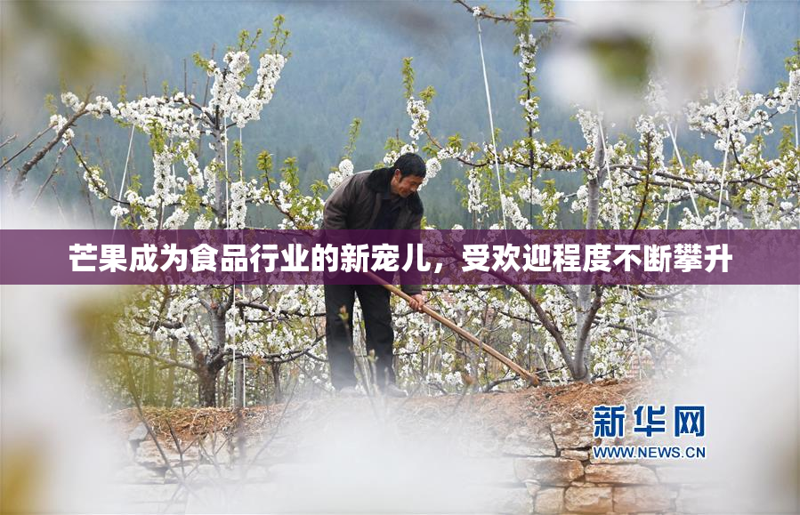 芒果成为食品行业的新宠儿，受欢迎程度不断攀升