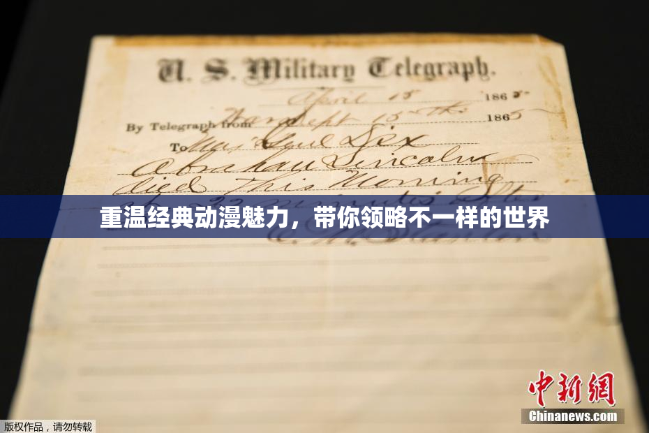 重温经典动漫魅力，带你领略不一样的世界
