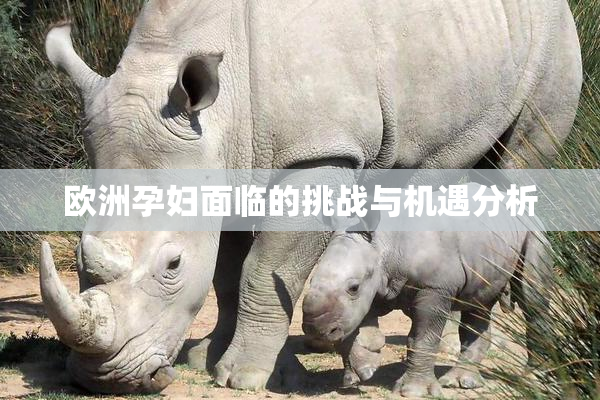 欧洲孕妇面临的挑战与机遇分析