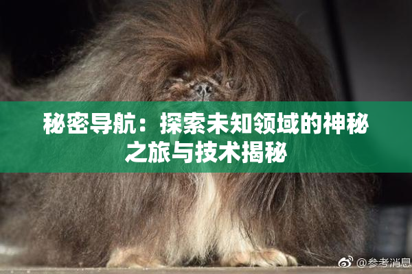 秘密导航：探索未知领域的神秘之旅与技术揭秘