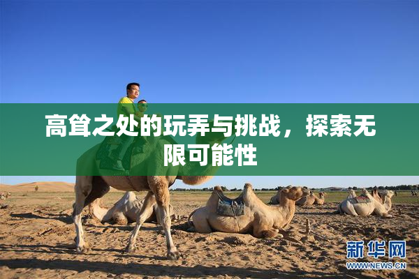 高耸之处的玩弄与挑战，探索无限可能性