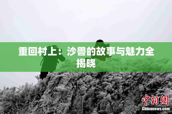 重回村上：沙兽的故事与魅力全揭晓