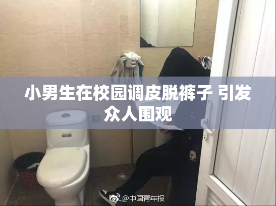 小男生在校园调皮脱裤子 引发众人围观