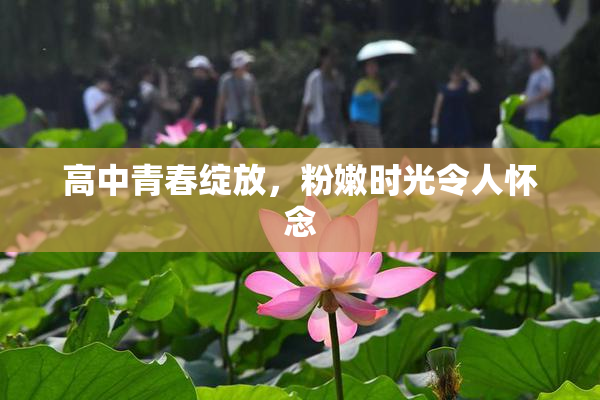 高中青春绽放，粉嫩时光令人怀念