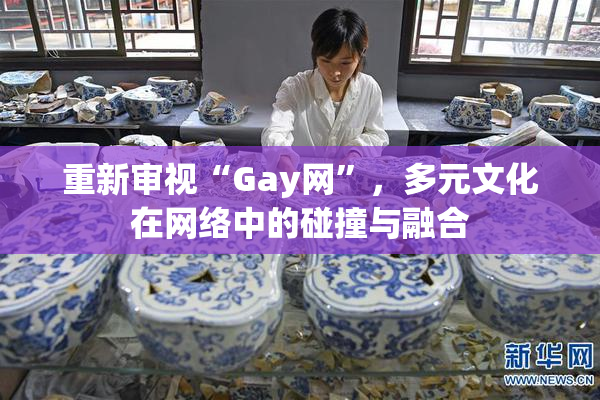 重新审视“Gay网”，多元文化在网络中的碰撞与融合