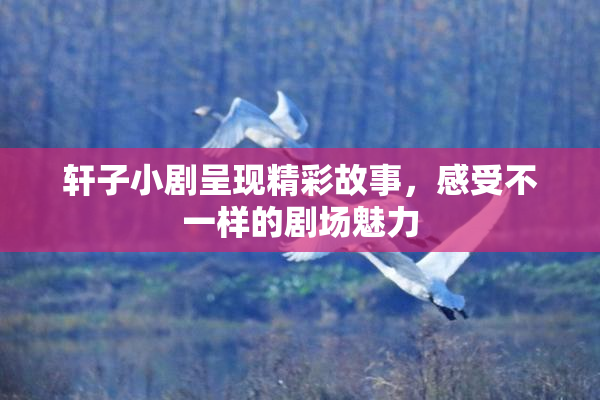 轩子小剧呈现精彩故事，感受不一样的剧场魅力