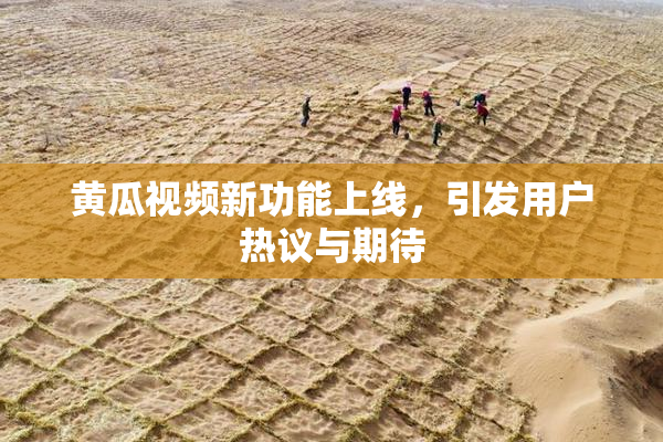 黄瓜视频新功能上线，引发用户热议与期待
