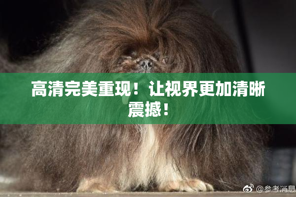 高清完美重现！让视界更加清晰震撼！