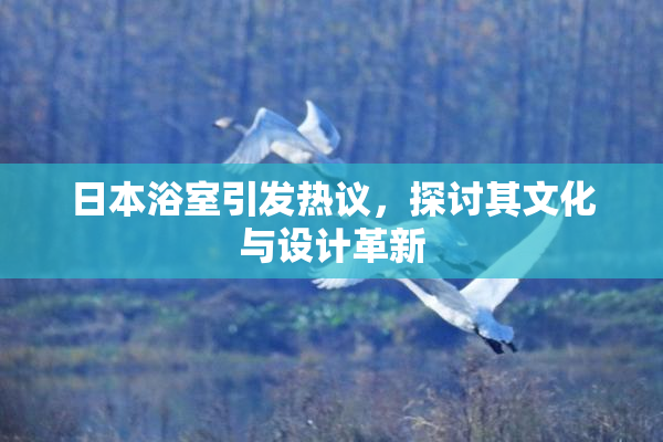 日本浴室引发热议，探讨其文化与设计革新