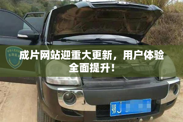 成片网站迎重大更新，用户体验全面提升！