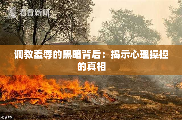 调教羞辱的黑暗背后：揭示心理操控的真相
