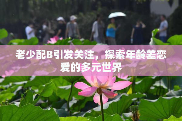 老少配B引发关注，探索年龄差恋爱的多元世界