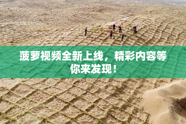 菠萝视频全新上线，精彩内容等你来发现！