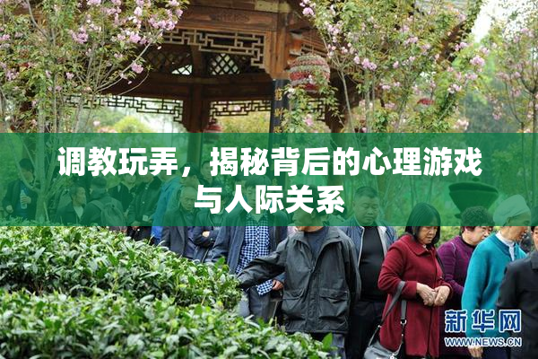 调教玩弄，揭秘背后的心理游戏与人际关系