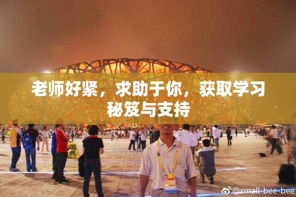 老师好紧，求助于你，获取学习秘笈与支持