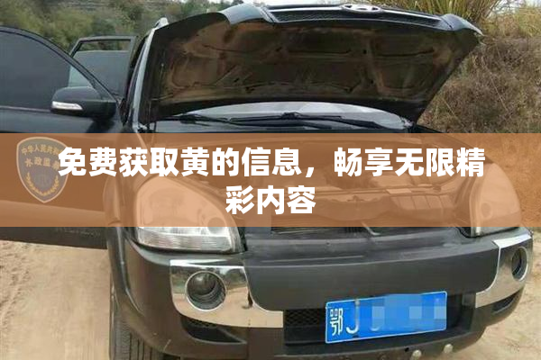 免费获取黄的信息，畅享无限精彩内容