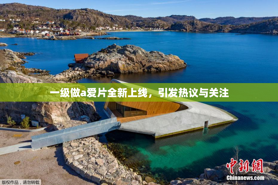 一级做a爱片全新上线，引发热议与关注