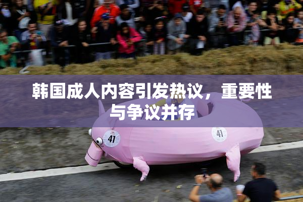 韩国成人内容引发热议，重要性与争议并存