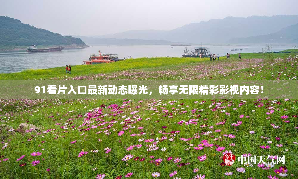 91看片入口最新动态曝光，畅享无限精彩影视内容！