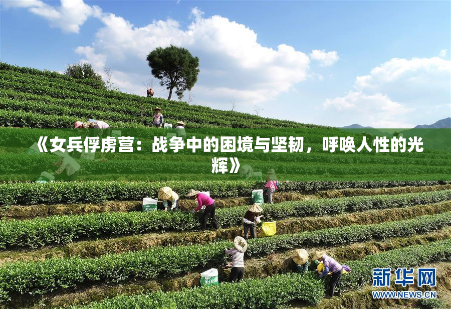 《女兵俘虏营：战争中的困境与坚韧，呼唤人性的光辉》