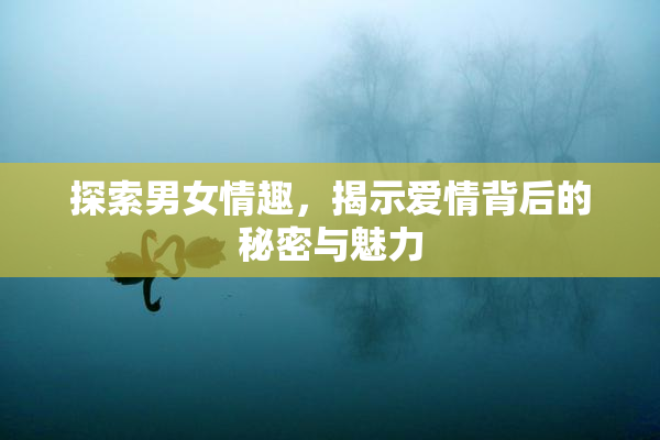 探索男女情趣，揭示爱情背后的秘密与魅力