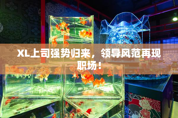 XL上司强势归来，领导风范再现职场！