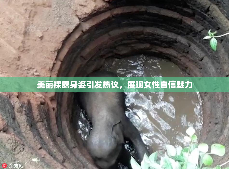 美丽裸露身姿引发热议，展现女性自信魅力