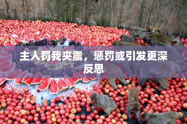 主人罚我夹震，惩罚或引发更深反思