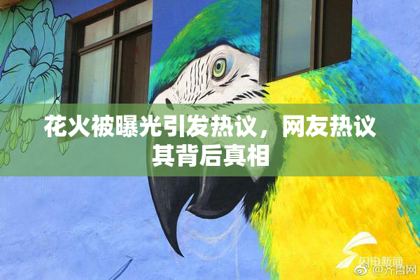 花火被曝光引发热议，网友热议其背后真相