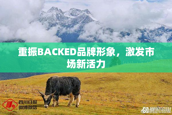 重振BACKED品牌形象，激发市场新活力