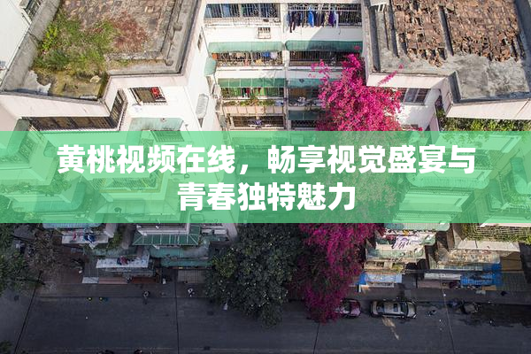 黄桃视频在线，畅享视觉盛宴与青春独特魅力