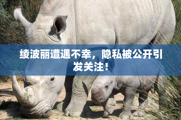 绫波丽遭遇不幸，隐私被公开引发关注！