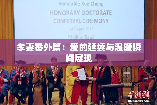 孝妻番外篇：爱的延续与温暖瞬间展现